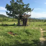 Bán 26.000 m2 đất nông nghiệp Bình Thuận 190 triệu/1000m2 - Ảnh thu nhỏ 4