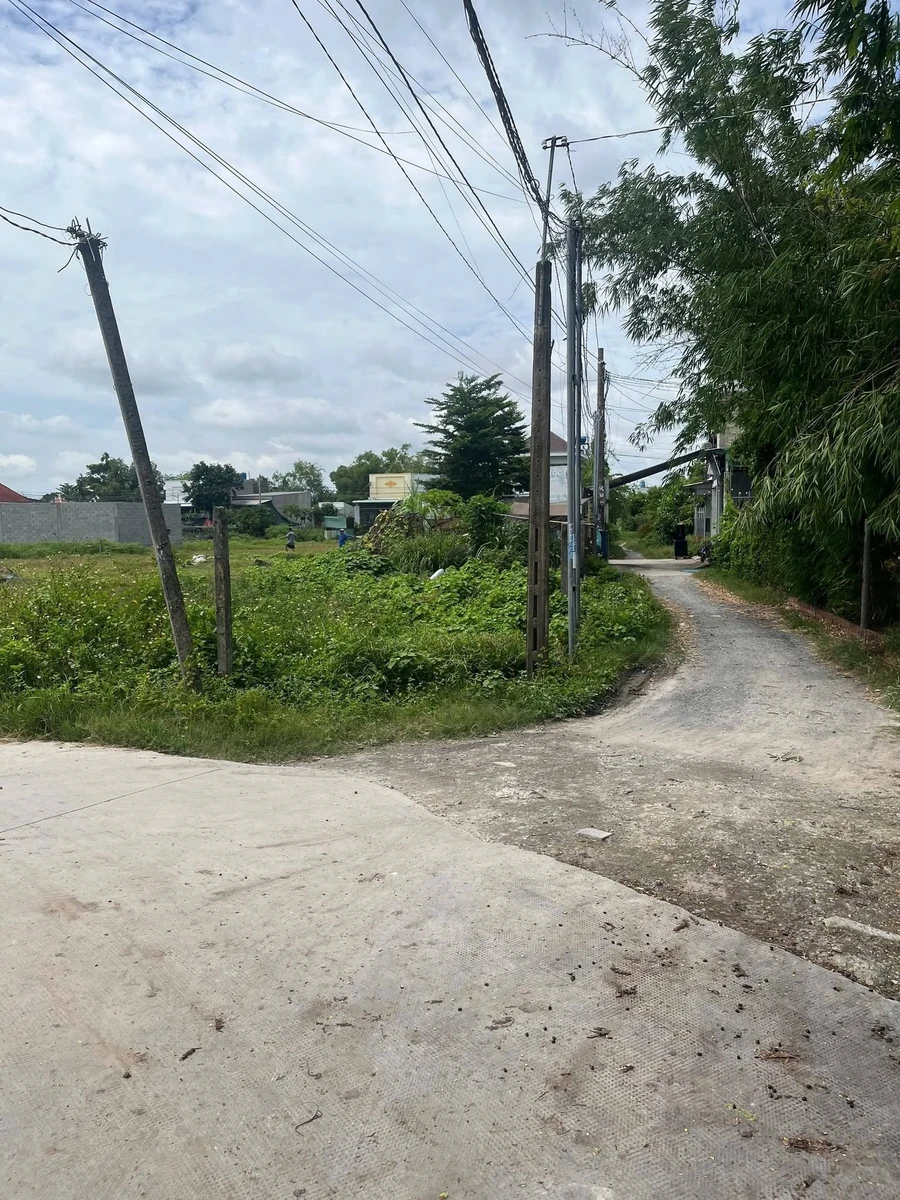 Bán đất Đức Hòa Thượng 110m2 1 tỷ Long An - Ảnh thu nhỏ 4