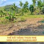 Bán đất 1000m2 có 100m2 thổ cư gần QL29, Ea Knốp, Ea Kar, Đắk Lắk giá 239 triệu - Ảnh thu nhỏ 4