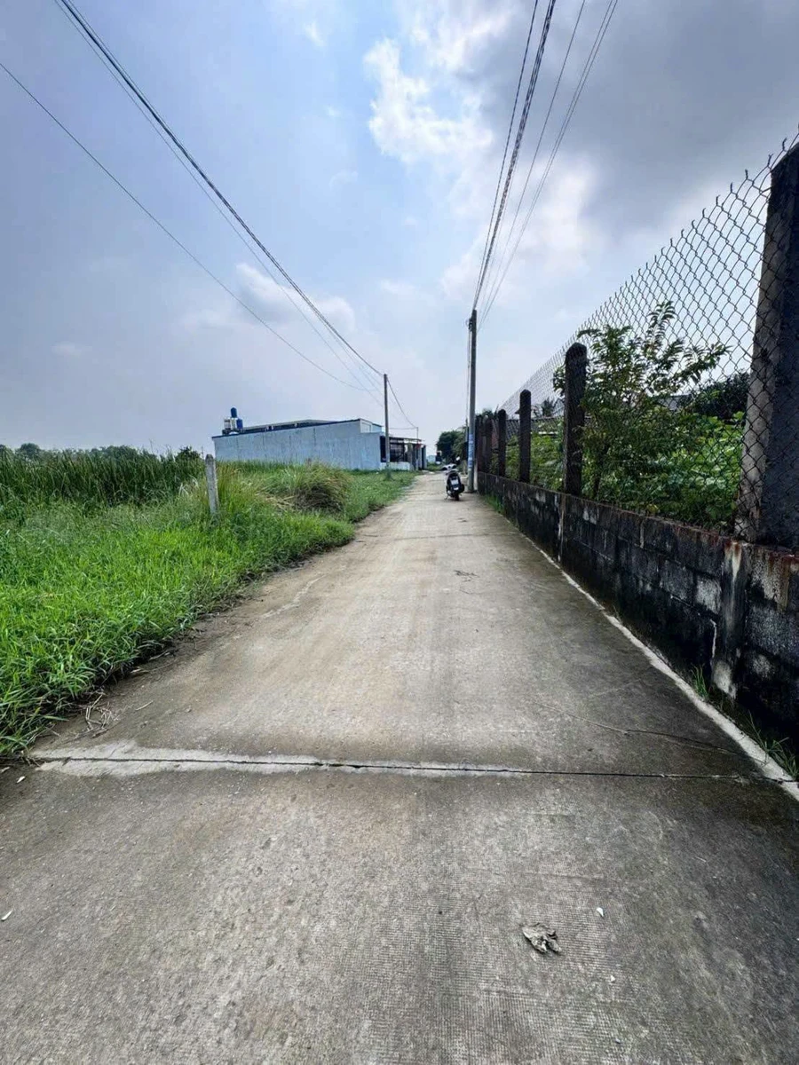 Bán đất thổ cư 5x61m, sổ hồng riêng, ấp 4 Đức Hòa Đông, giá 1,48 tỷ - Ảnh thu nhỏ 2