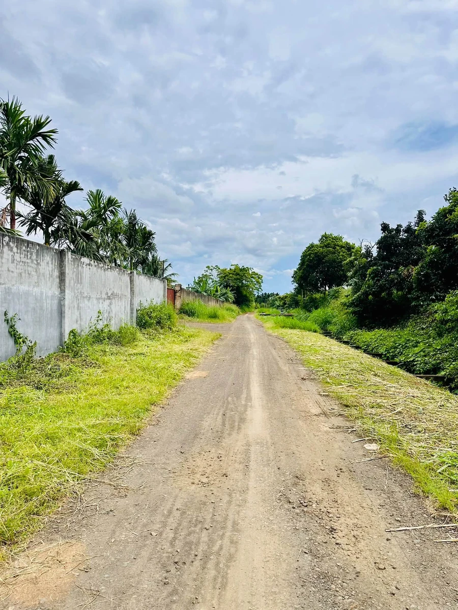 Bán lô đất 10x47m đường liên thôn Ea Kao, Buôn Ma Thuột giá 950 triệu - Ảnh thu nhỏ 2