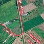 Bán đất nền 120m² Ấp Thuận Bình Trung Tây Ninh 250 triệu - Ảnh thu nhỏ 2