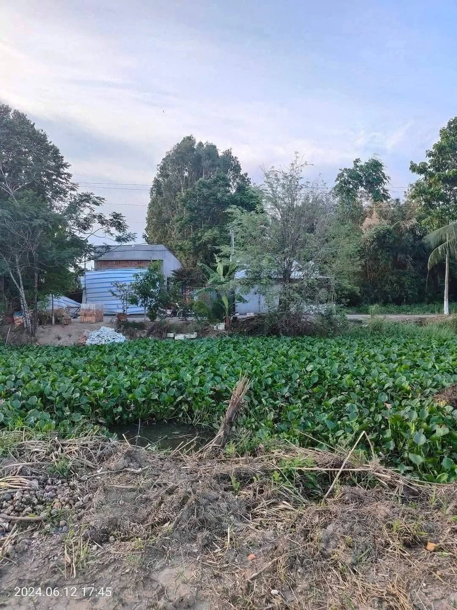 Bán đất nền mặt tiền đường Trần Nguyên Hãn, phường Vĩnh Lợi, Rạch Giá, 300m2, 700 triệu/nền - Ảnh thu nhỏ 5