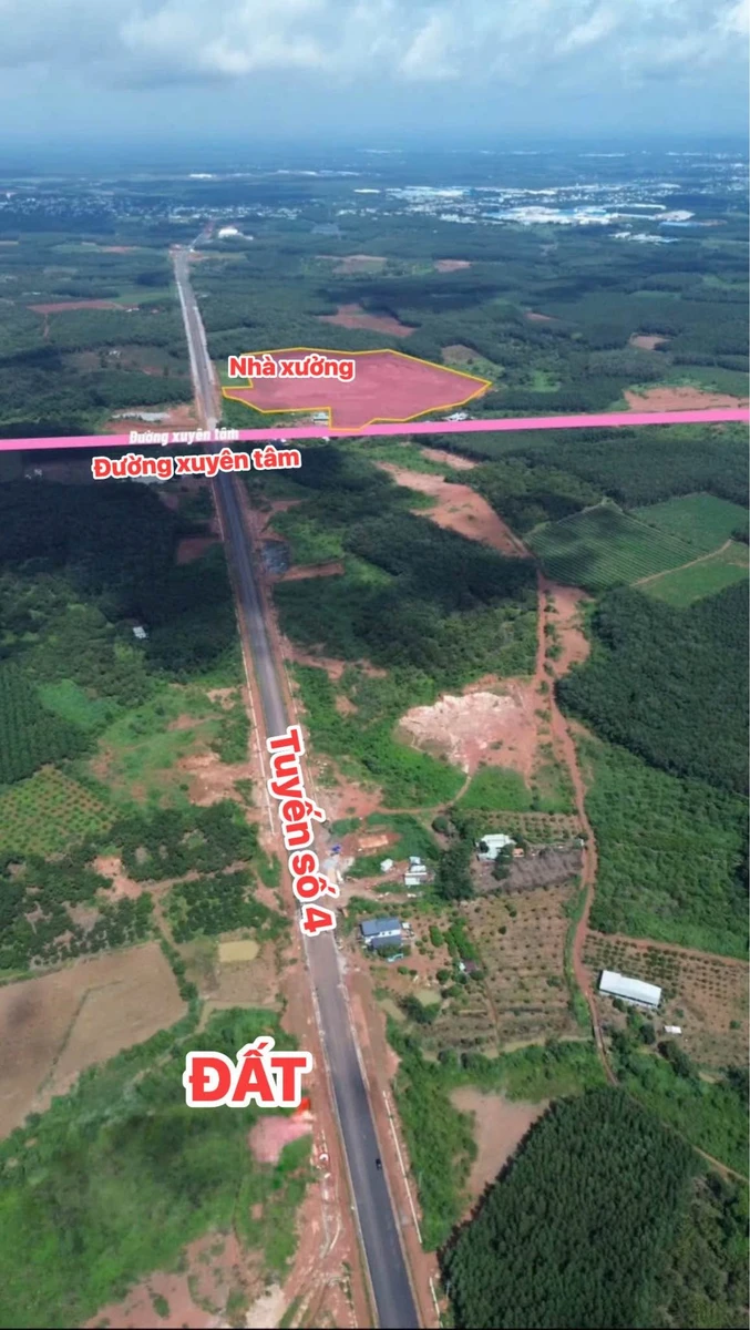 Bán đất 2,6 ha tại KCN Đồng Phú, giá 3 tỷ - Ảnh 1