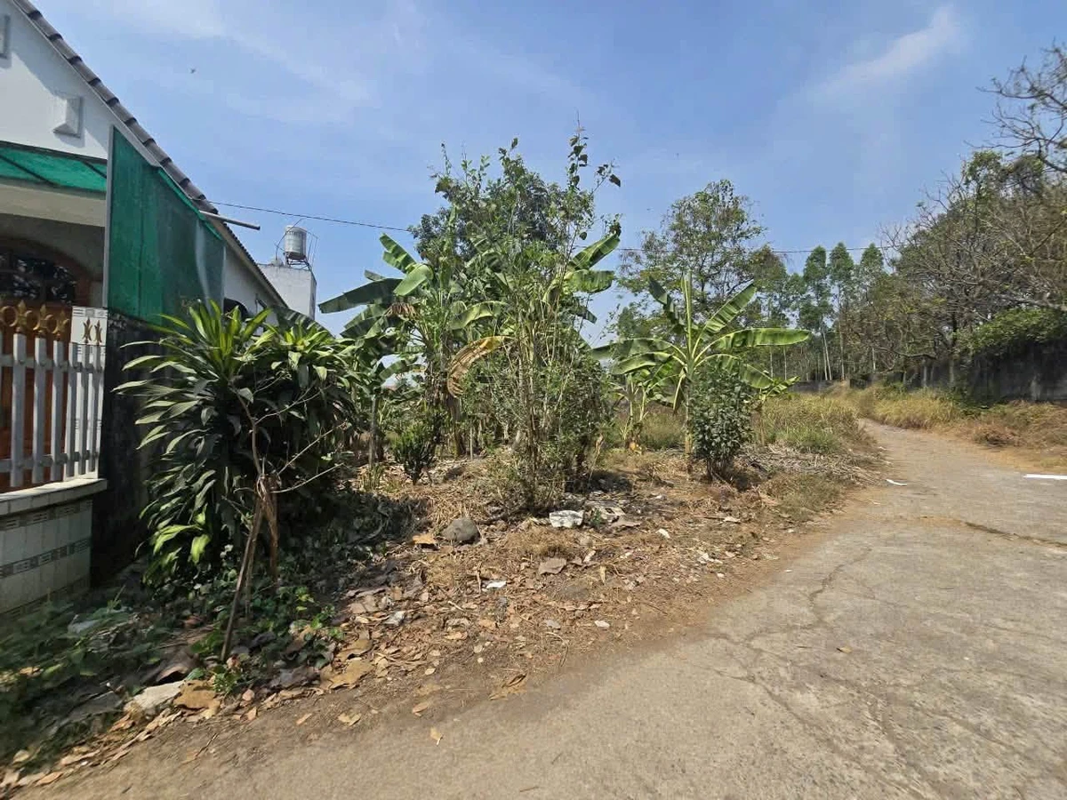 Bán lô đất 976m² sát khu du lịch Sơn Tiên, An Hoà - Ảnh thu nhỏ 2