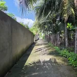 Bán đất gần chợ Phú Nhuận 453m² Phú Nhuận - Ảnh thu nhỏ 3