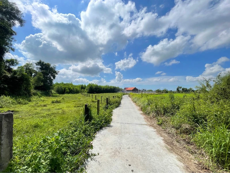 Bán đất cây lâu năm 1.000m² Xã Hàm Liêm 420 triệu