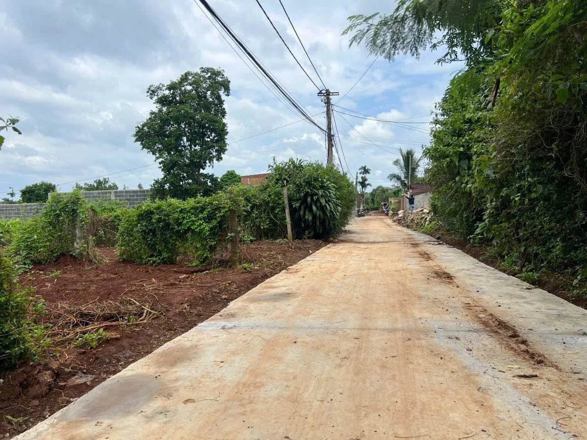 Bán đất Phường Tân Lợi 50m² 779 triệu, Bình Chánh - Ảnh thu nhỏ 4