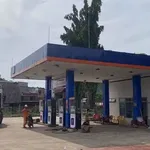 Bán biệt thự nhà vườn 15.000m² gần 1ha Đồng Xoài 25 tỷ - Ảnh thu nhỏ 3