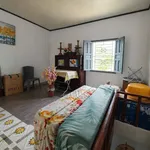 Bán nhà hẻm 26,5m² 2 PN Phước Hải, Nha Trang 1 tỷ 690 triệu - Ảnh thu nhỏ 3