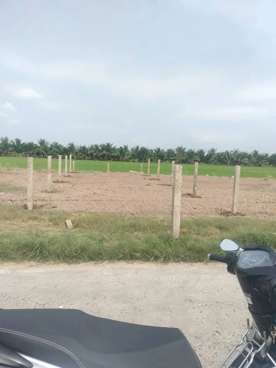 Bán đất Gò Công Đông 126m² mặt tiền biển 350 triệu - Ảnh 1