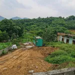 Lô đất rẻ tại Thanh Thủy, đường rộng 6m, vị trí đẹp: Gần trường, chợ, tỉnh lộ, nhà máy, Vườn Vua - Ảnh thu nhỏ 2