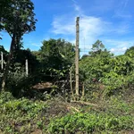 Bán đất 5x43m thổ cư 100% Hàn Thuyên Bình Tân - Ảnh thu nhỏ 2