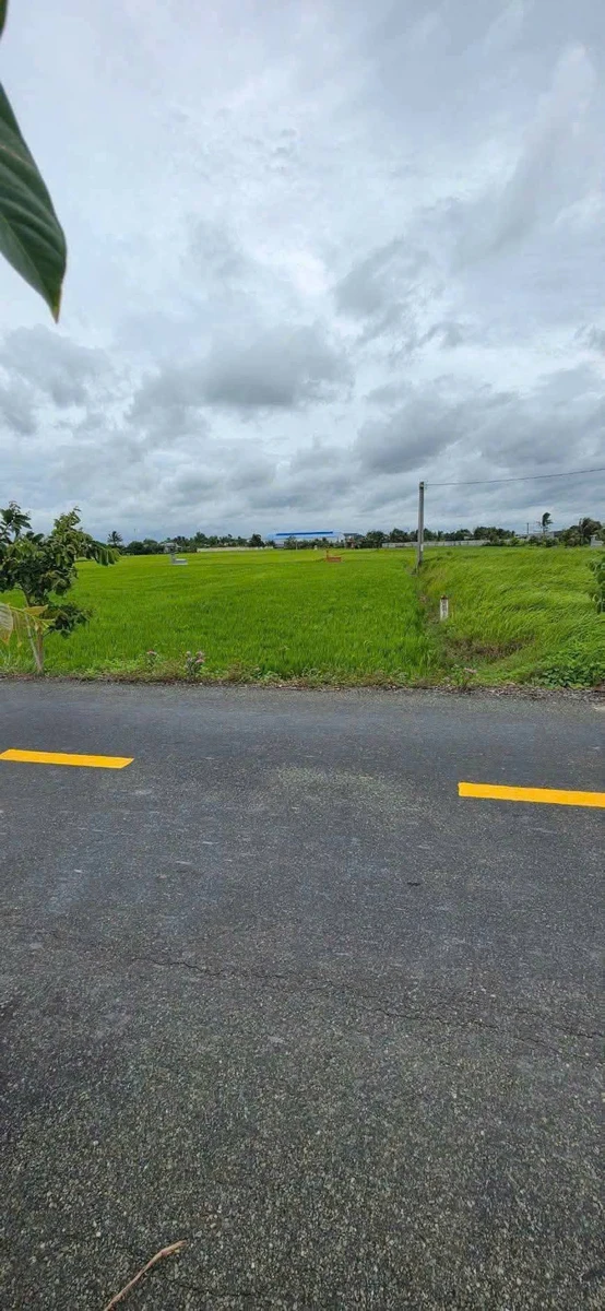 Bán đất 1.000m² Mỹ Lệ Cần Dước Long An 3,8 tỷ - Ảnh thu nhỏ 2