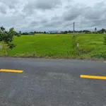 Bán đất 1.000m² Mỹ Lệ Cần Dước Long An 3,8 tỷ - Ảnh thu nhỏ 2