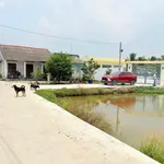 Bán nhà vườn 1068m² Bến Lức Long An, 3PN, sổ hồng - Ảnh thu nhỏ 2