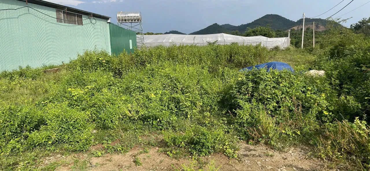 Bán lô góc 2 mặt tiền 457m² sát T'robŭh, Đắk Lắk - Ảnh 1