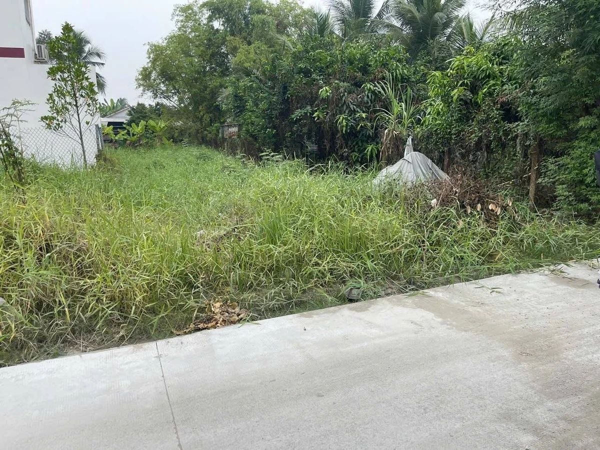 Bán đất thổ cư 248 m² Long Trạch, Long An - Ảnh thu nhỏ 5