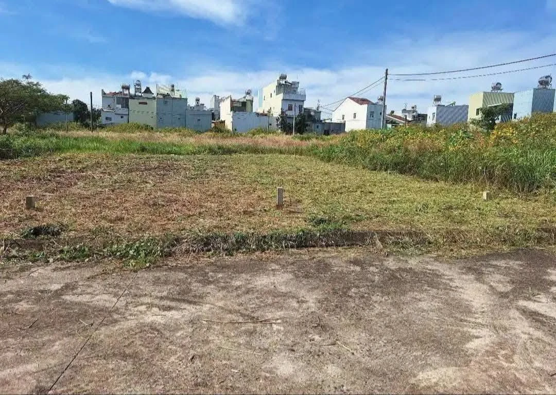 Bán đất 83,25m² Nguyễn Văn Cừ Diên Hồng 2 tỷ - Ảnh thu nhỏ 3