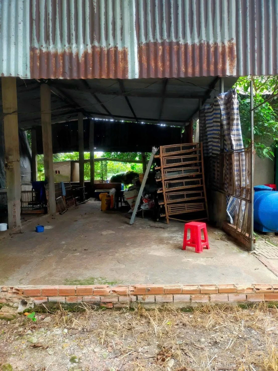 Bán đất trang trại 2300m2 Đồng Nai 2 tỷ 3 - Ảnh thu nhỏ 5