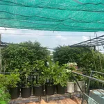 Bán nhà mặt tiền 5x25m, 3PN, Lái Thiêu, 4,5 tỷ - Ảnh thu nhỏ 2