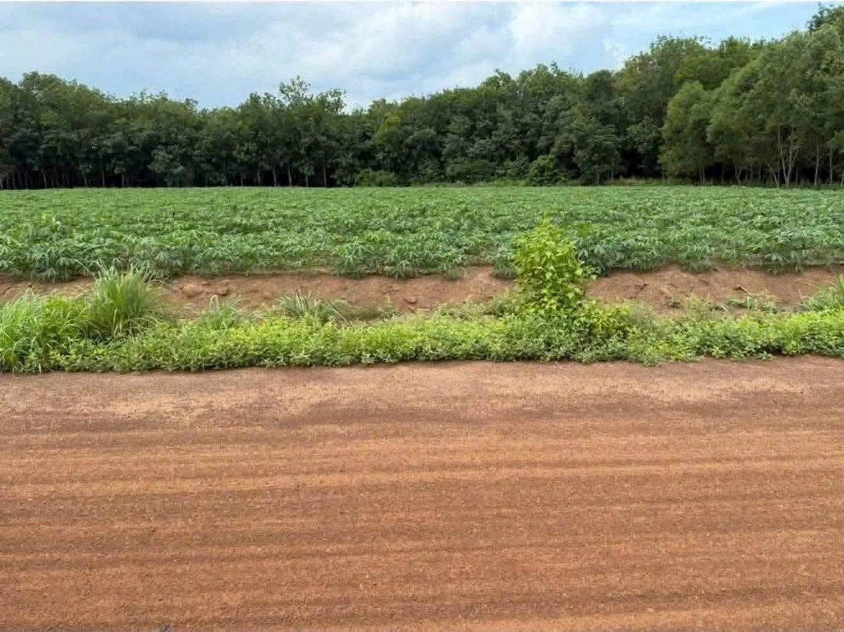 Bán lô đất 5x100m An Phú, Xã Nhuận Đức 180 triệu - Ảnh 1