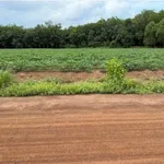 Bán lô đất 5x100m An Phú, Xã Nhuận Đức 180 triệu - Ảnh thu nhỏ 1