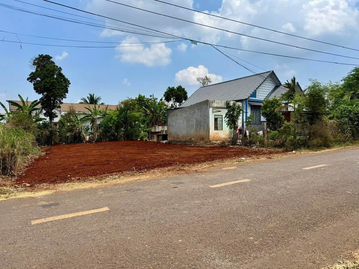 Bán đất mặt tiền Đường 19/5 Quận 9, 260m² giá 2.596 tỷ - Ảnh 1