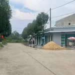 Bán đất thổ cư 100m2 sổ riêng tại khu đô thị Mỹ Phước 3, Bình Dương - Ảnh thu nhỏ 3