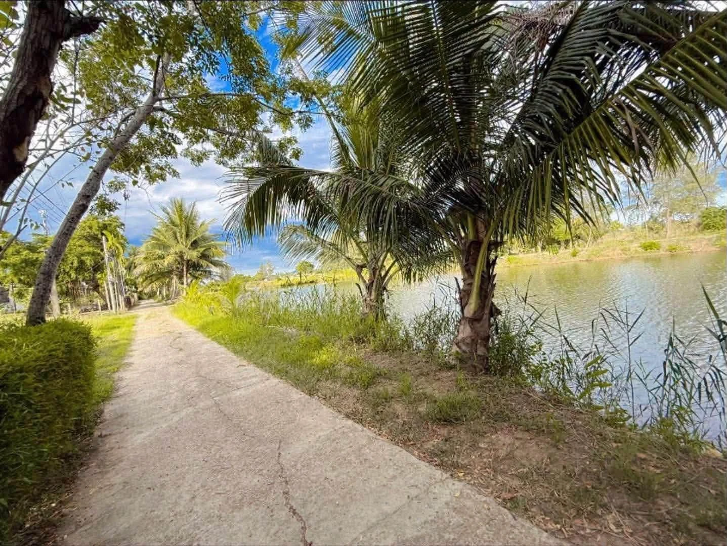 Bán đất view sông gần Hội An 187m² 700 triệu - Ảnh 1