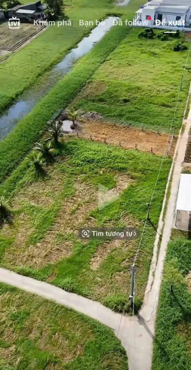 Bán đất 6x24m thổ cư giá 260 triệu tại Bình Nghị, Gò Công Đông, Tiền Giang - Ảnh thu nhỏ 2