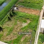 Bán đất 6x24m thổ cư giá 260 triệu tại Bình Nghị, Gò Công Đông, Tiền Giang - Ảnh thu nhỏ 2