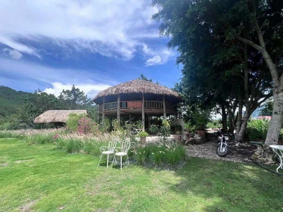Bán lô đất sân vườn 2873m² Hiệp An Đức Trọng Lâm Đồng 10,3 tỷ - Ảnh thu nhỏ 3