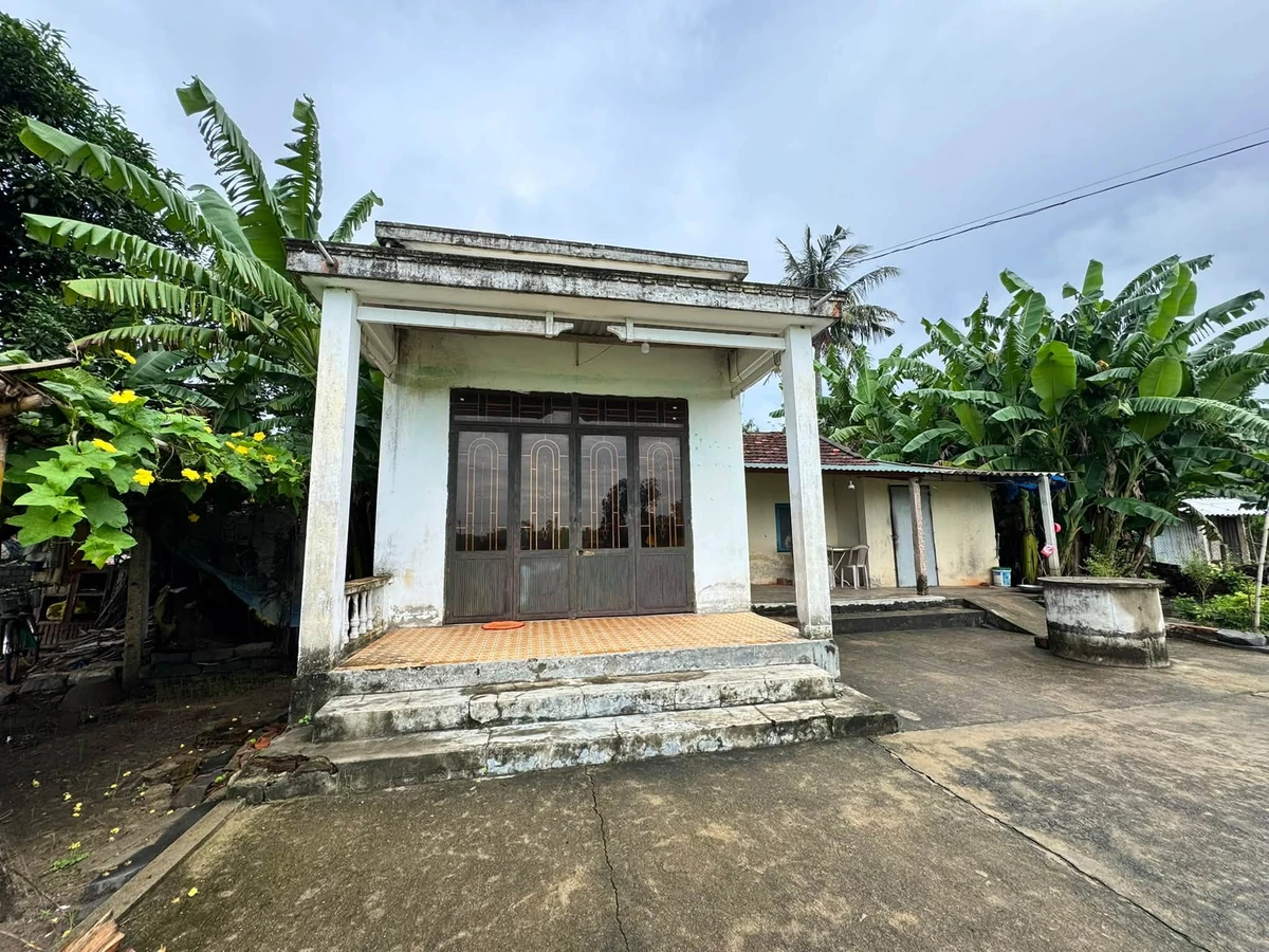 Bán đất vườn Tịnh Hoà 248m2, đường ô tô - Ảnh thu nhỏ 3