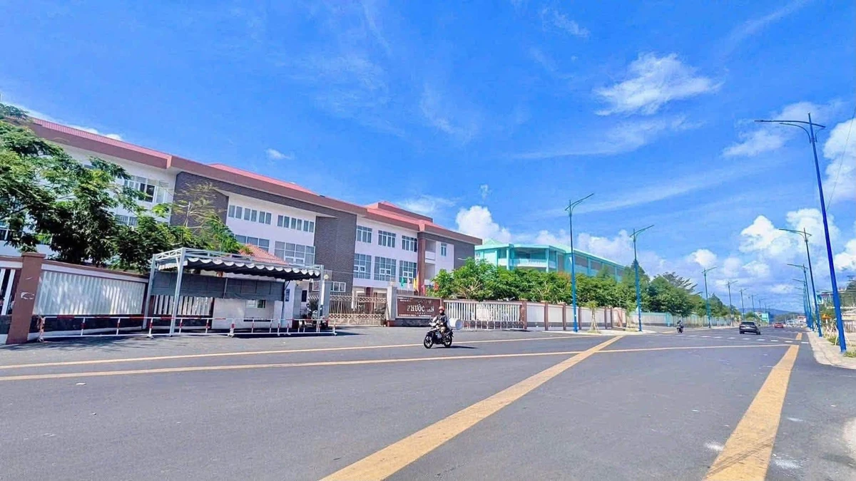 Bán đất 87m² sát trường học Phước An, Phước Thắng, Bình Chánh - Ảnh 1