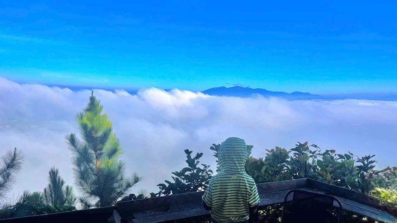 Bán đất thổ cư 200m2 view săn mây tại Tân Nghĩa, Di Linh, Lâm Đồng giá 735 triệu
