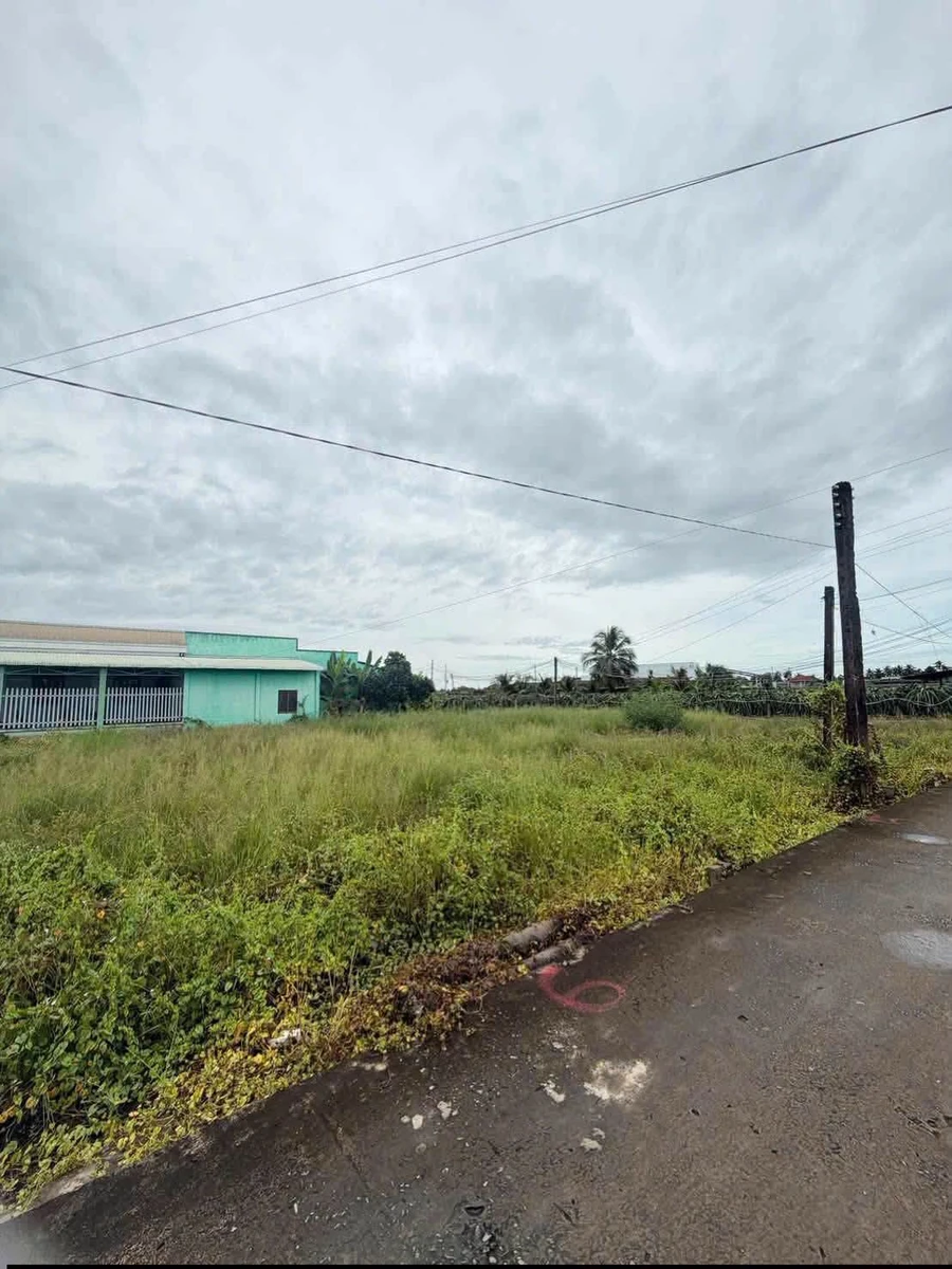 Bán đất thổ cư 130m² giá 309 triệu Tây Ninh - Ảnh thu nhỏ 2