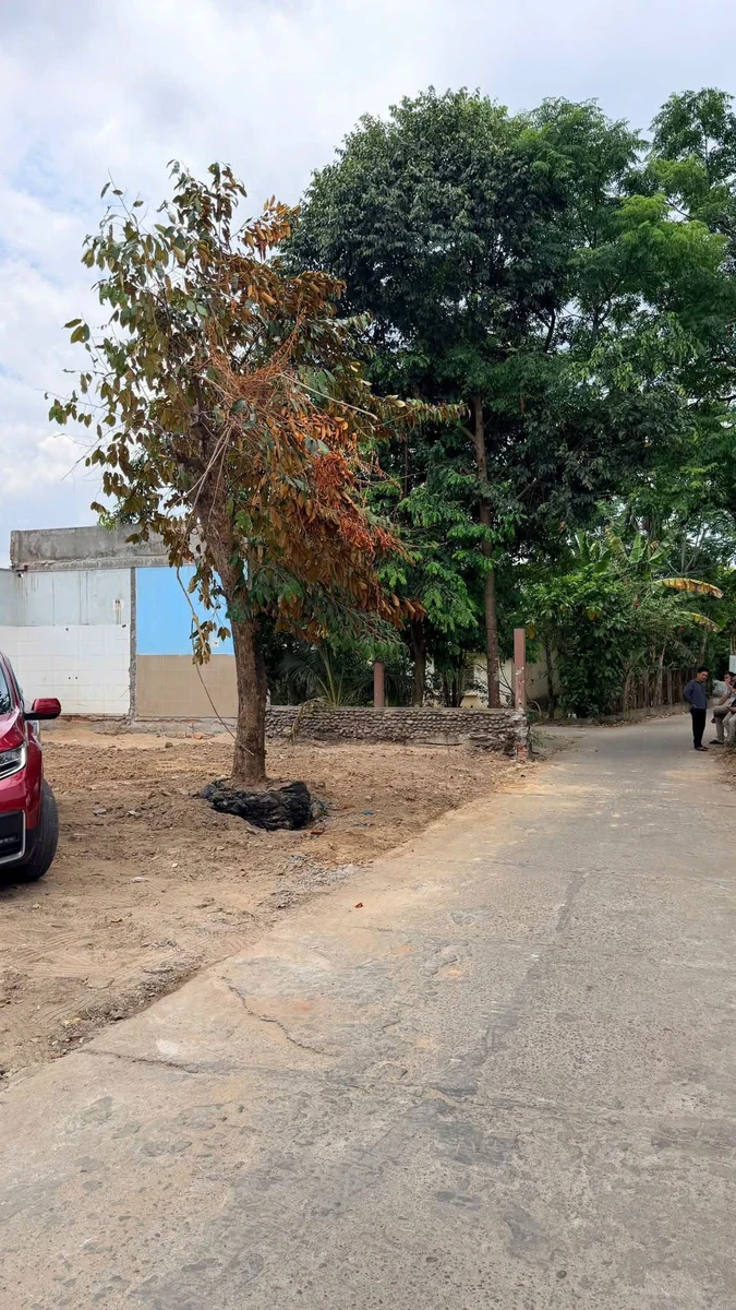 Bán đất hẻm 65m2 gần Hoàng Hoa Thám, Quận 12 - Ảnh thu nhỏ 2
