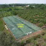 Bán đất nền 1000m² Bến Lức Long An, 550 triệu - Ảnh thu nhỏ 1