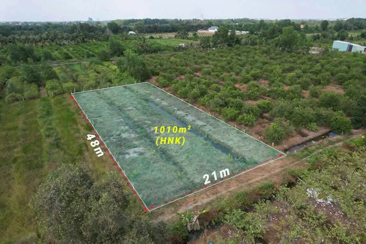 Bán đất nền 1000m² Bến Lức Long An, 550 triệu - Ảnh 1