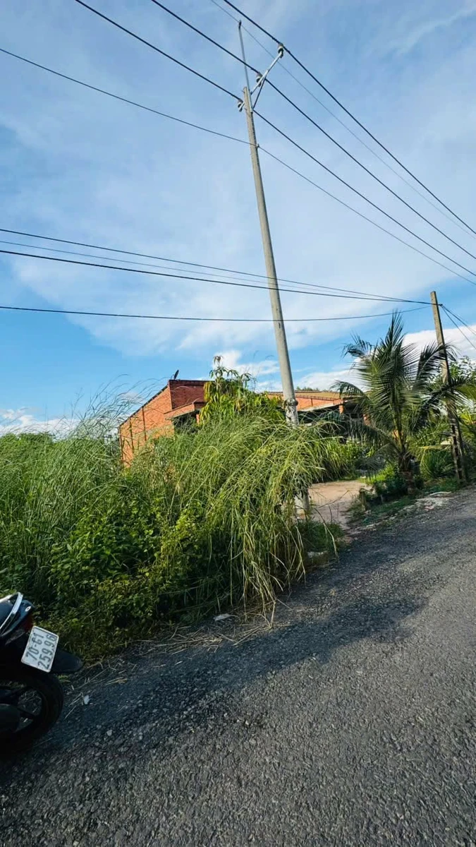 Bán đất mặt tiền đường nhựa 6,5×63m Tây Ninh 600 triệu - Ảnh thu nhỏ 4