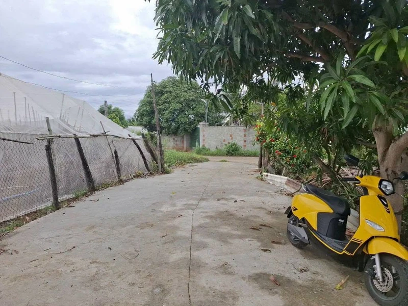 Bán 2 lô đất Phan Rang 358m², 370m² giá 680-750 triệu