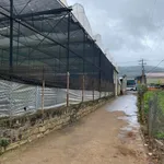 Bán đất vườn lan 1200m2 Hiệp An, Lâm Đồng - Ảnh thu nhỏ 4