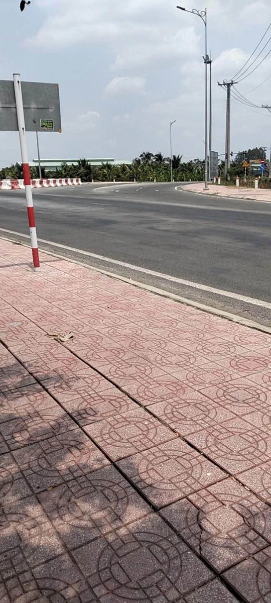 Bán đất lúa 1862m2 Thủ Thừa Long An 6 tỷ - Ảnh 1