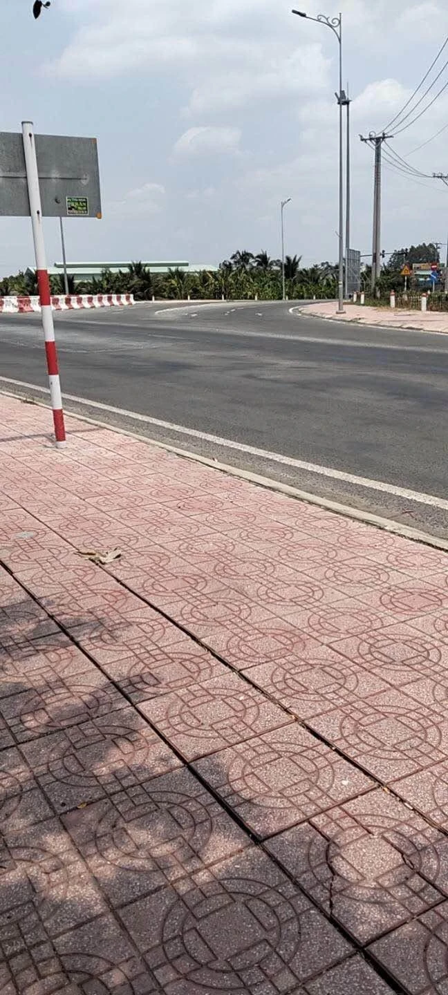 Bán đất lúa 1862m2 Thủ Thừa Long An 6 tỷ - Ảnh 1