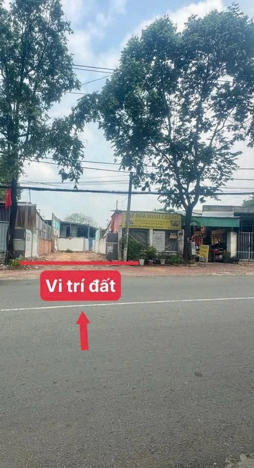 Bán đất mặt tiền kinh doanh 175m2 Nguyễn Đức Thuận, Bình Dương - Ảnh thu nhỏ 2