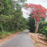 Bán đất nền 108m2 mặt tiền Phường An Hội, Vĩnh Long - Ảnh thu nhỏ 1