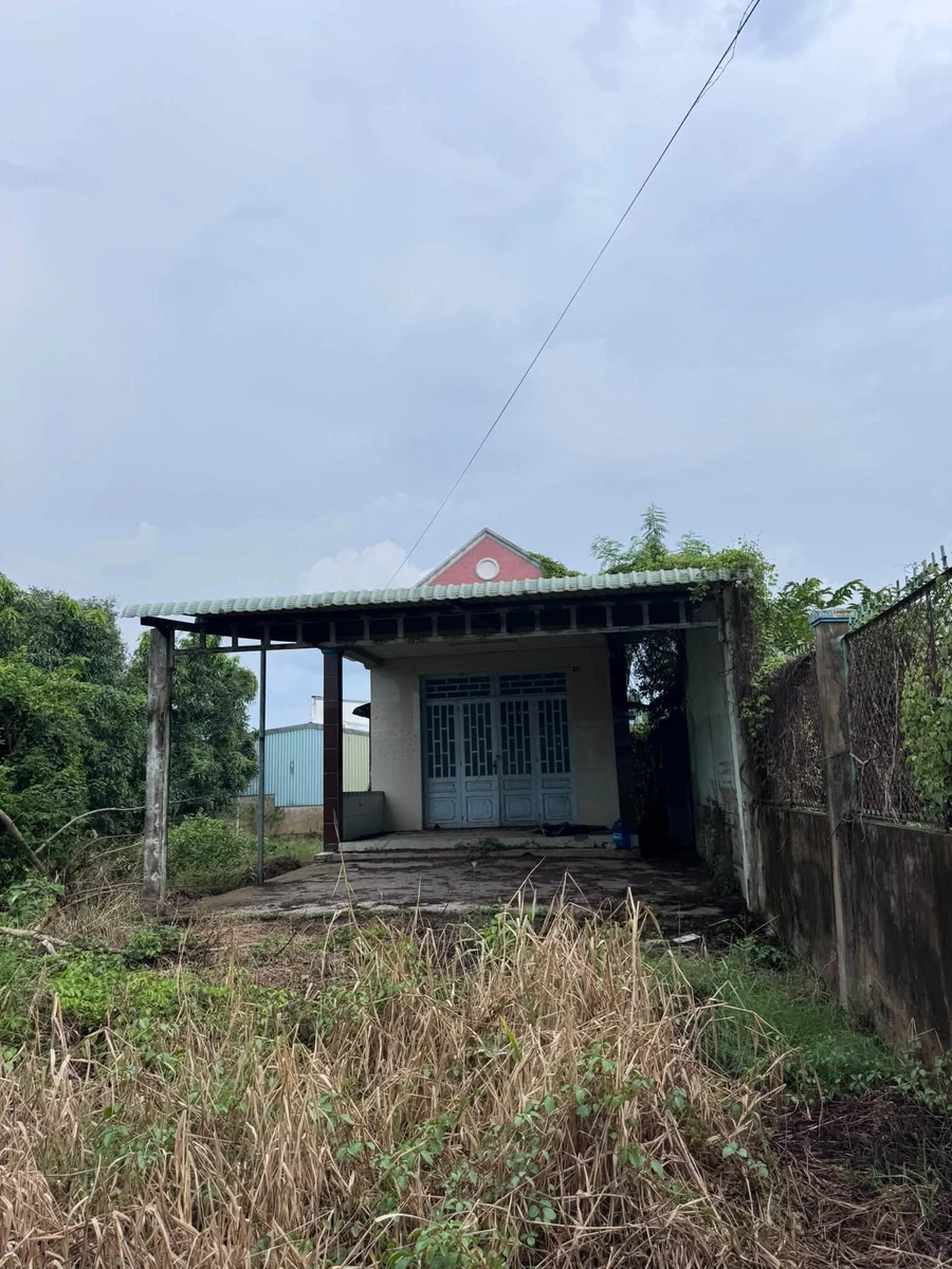 Bán nhà vườn 700m² Phước Lý Xã Long Thượng Củ Chi - Ảnh thu nhỏ 4