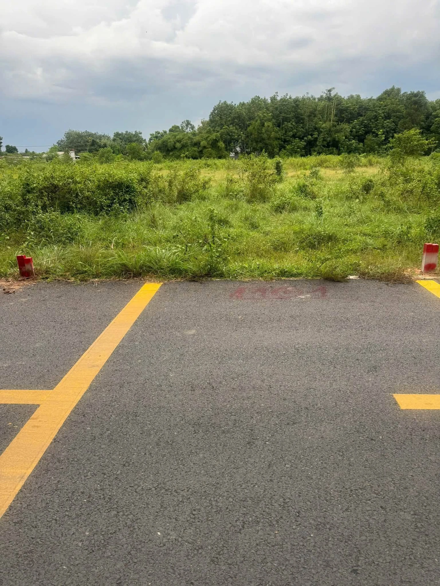 Bán đất 250m² Phường Chánh Phú Hòa 2.2 tỷ - Ảnh 1