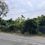 Cần bán 5000m2 đất cây lâu năm, có 200m2 thổ cư, mặt tiền Tỉnh lộ 944 - Ảnh thu nhỏ 4